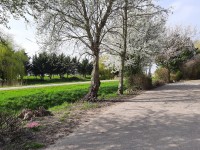 /album/winter-in-wervershoof-2020-21/a20210331-151406-jpg/